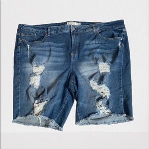 Torrid Plus Size 26 Distressed Bermuda Shorts